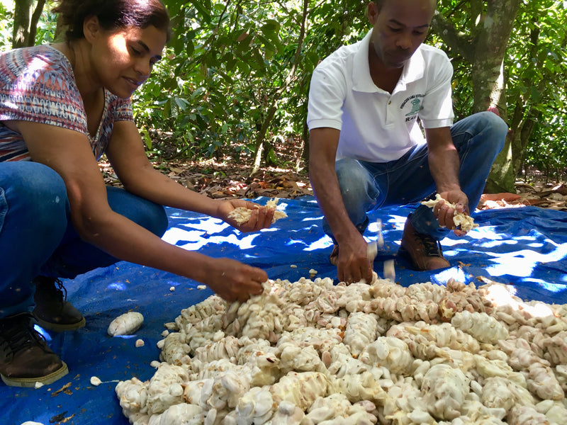 The Importance of Ethical Sourcing