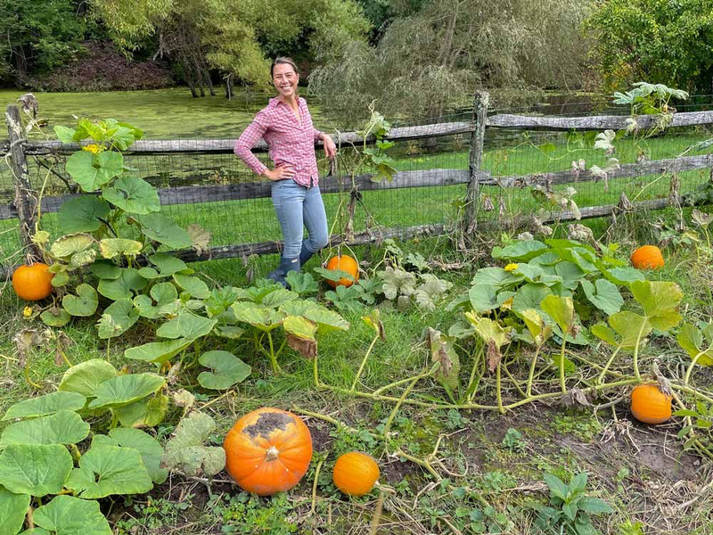 It's a Busy Fall on the Farm