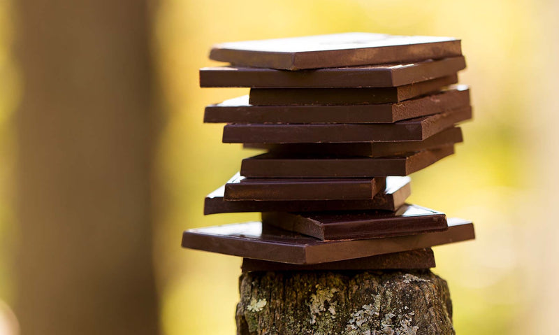 Potential Health Benefits of Dark Chocolate
