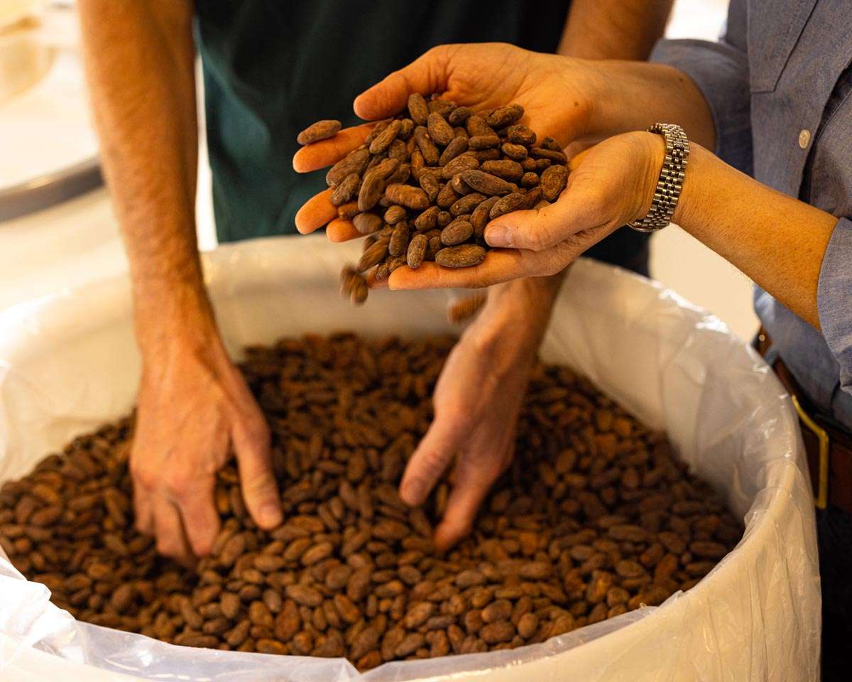 The Many Potential Health Benefits of Dark Chocolate