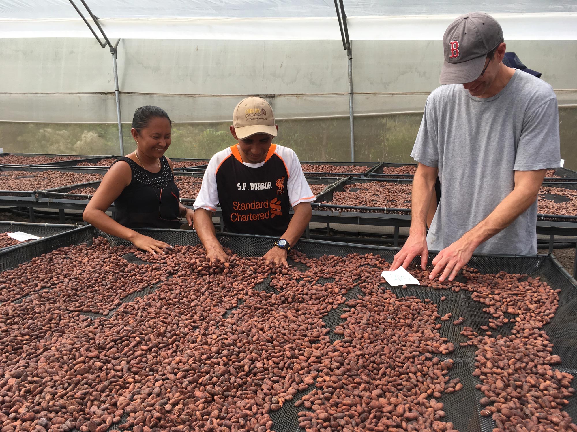 Goodnow Farms Cofounder and local farmers test the flavor of the cacao as it dries