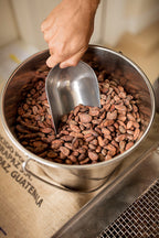 Goodnow Farms Chocolate Almendra Blanca cacao beans with scoop
