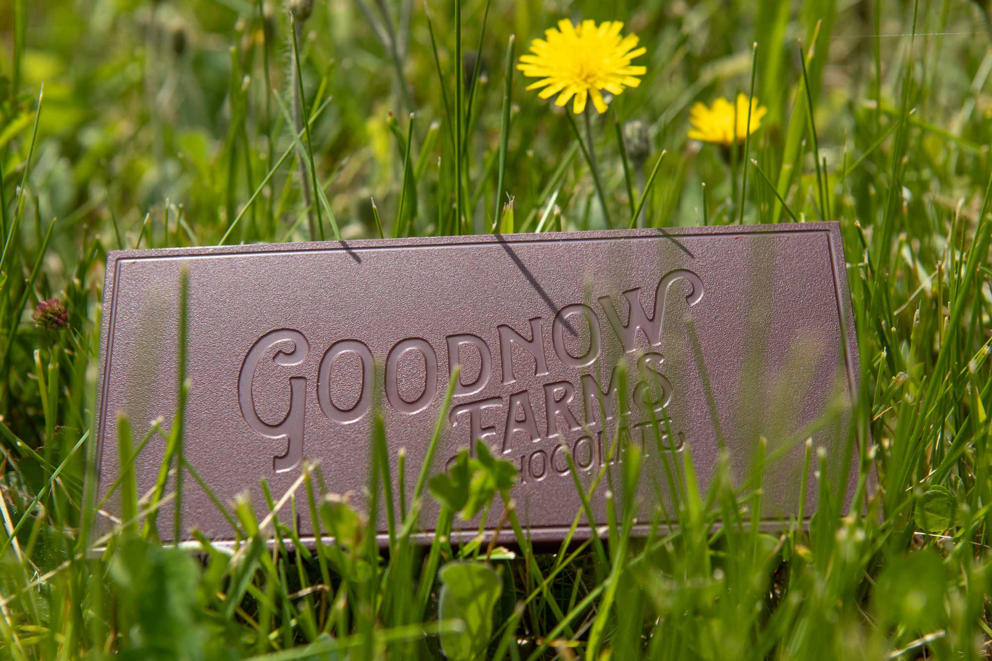Goodnow Farms Dark Chocolate Ucayali Bar without packaging