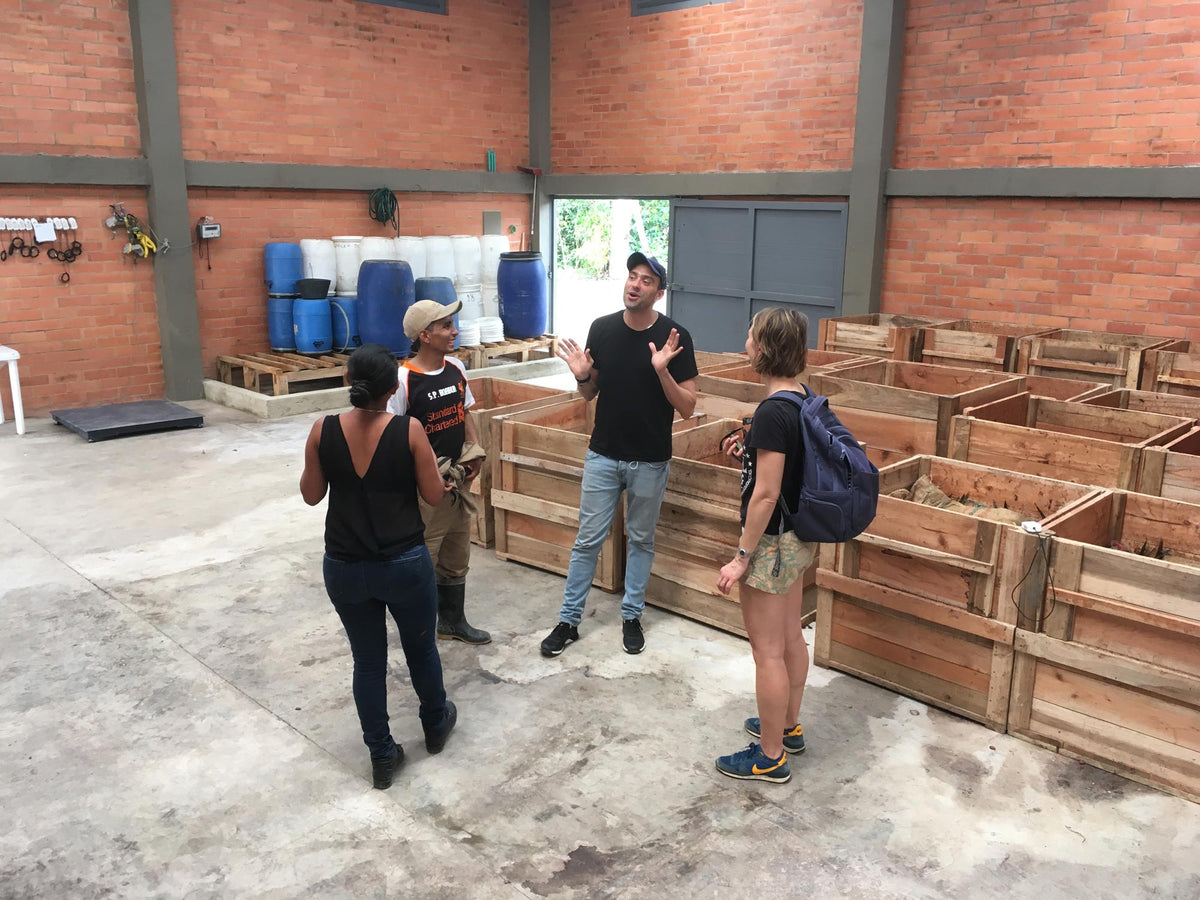 Martino Bonato, William Bonilla, Anyi Torres and Monica in the fermentation area.