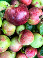 Limited Release, Spiced Apple Cider