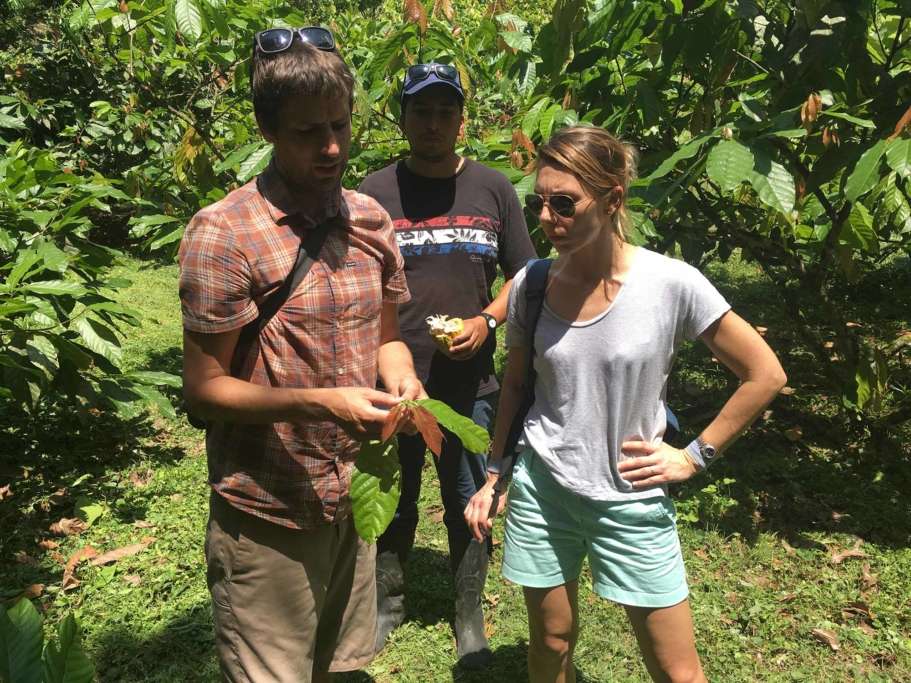 Dan shows Monica a clipping from one of the trees.