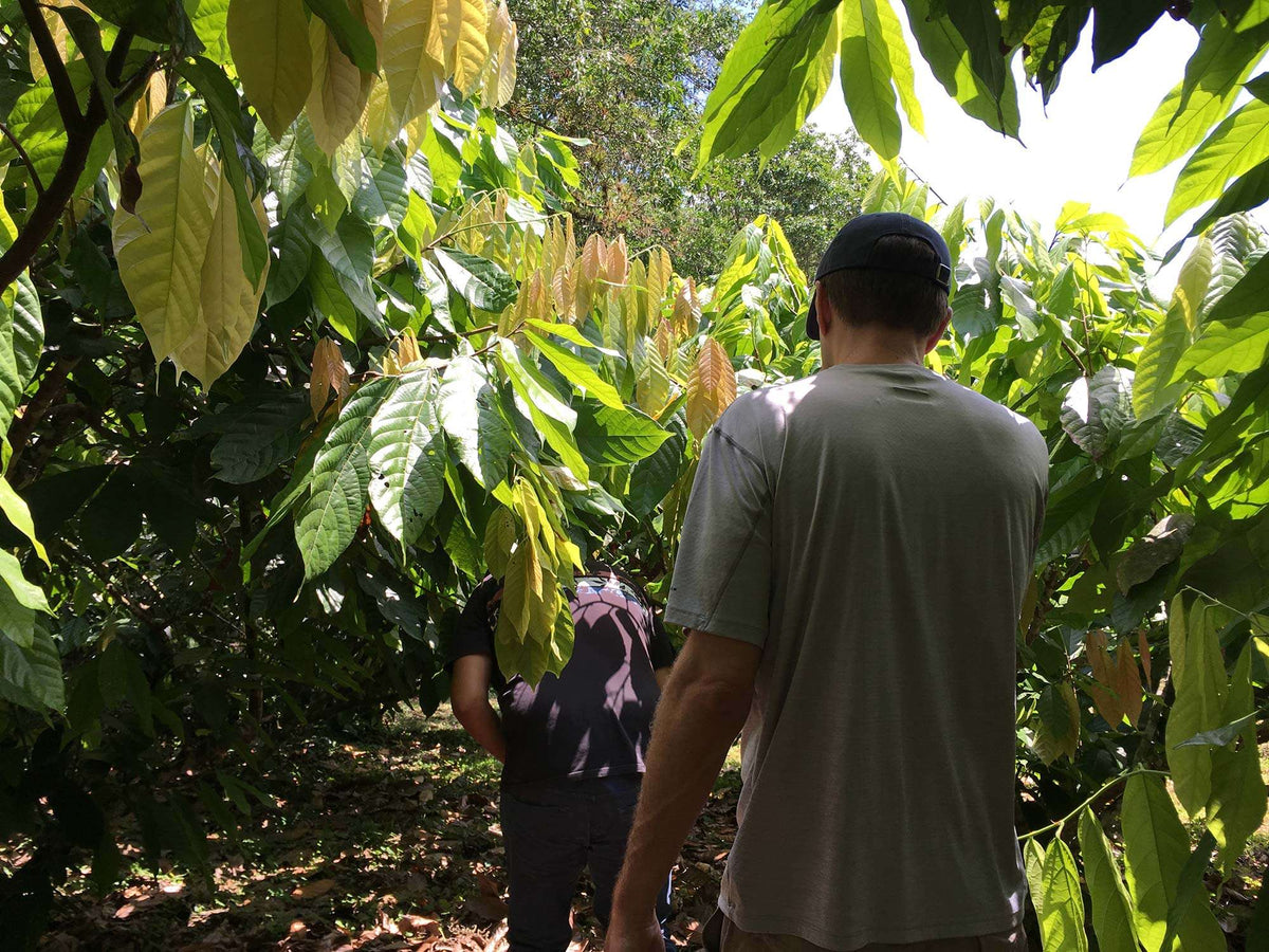Walking the farm with Dan and Freddy