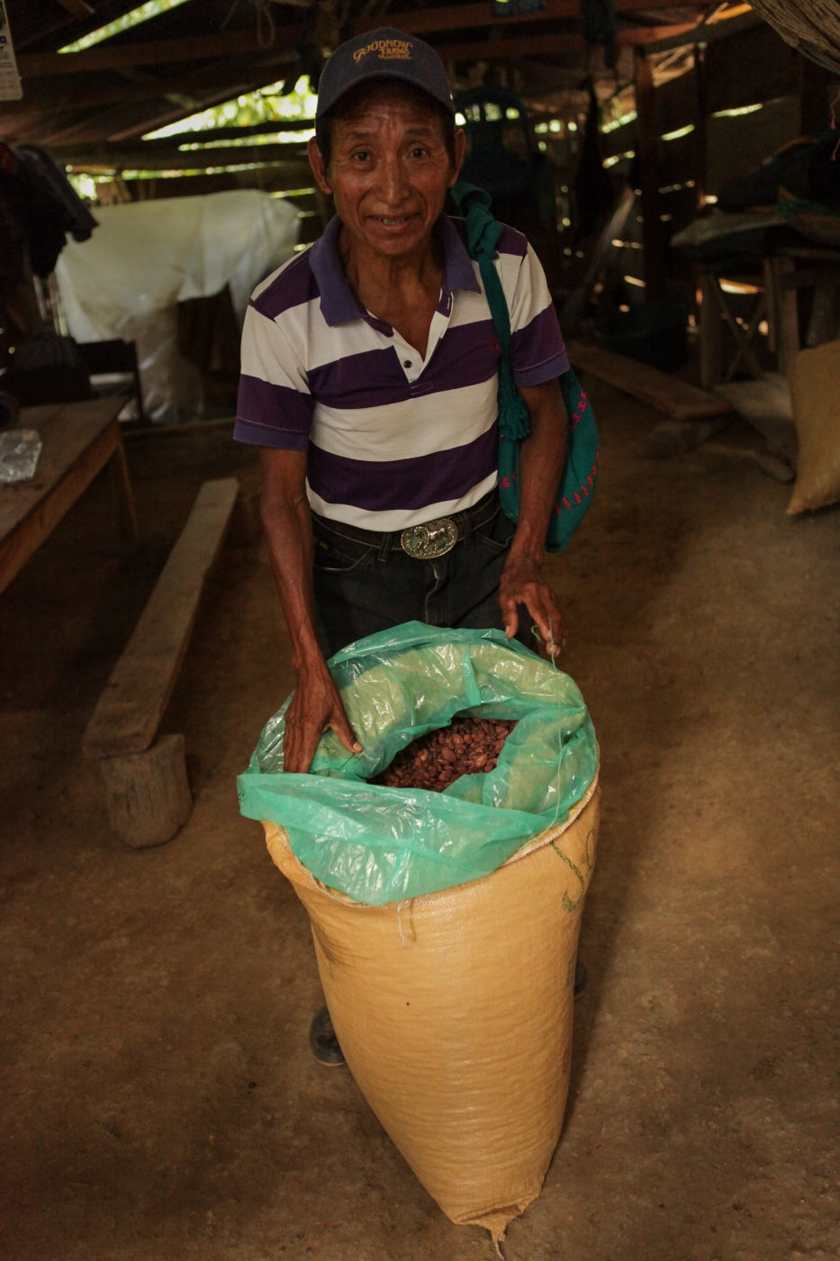 Fermented and dried cacao beans, ready for shipment.