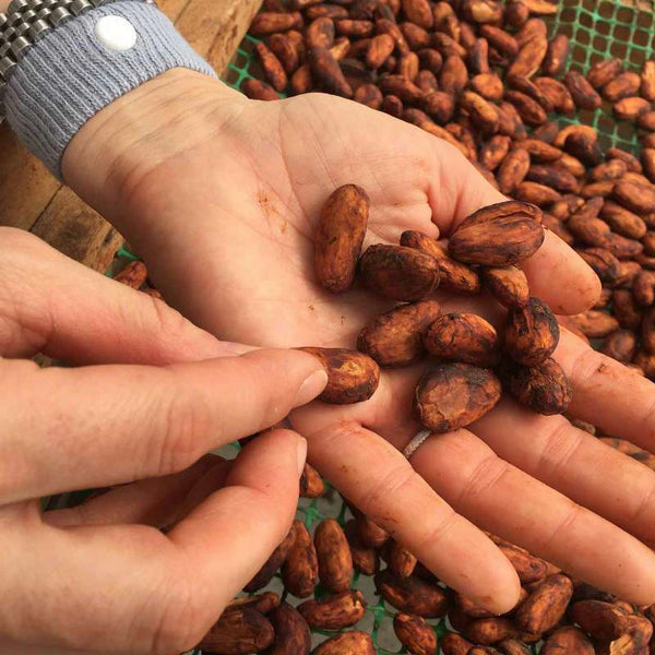 Our Sourcing