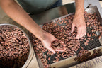 Maker's choice, Herbaceous Green Sichuan Pepper